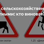 Дорожные знаки, предупреждающие о выходе животных на автостраду