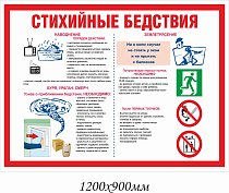 ГО и ЧС Стихийные бедствия